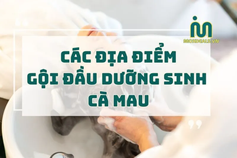 các địa điểm gội đầudưỡng sinh cà mau