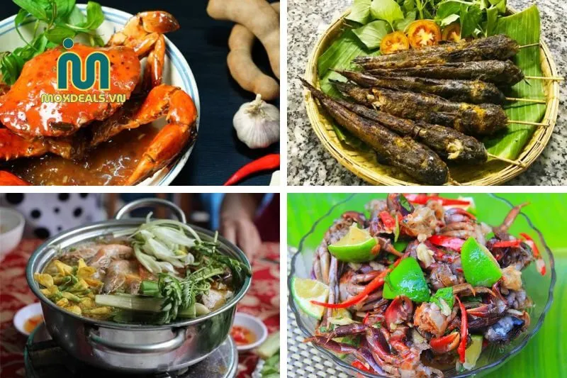 Chi Phí Ăn Uống Và Ẩm Thực Tại Cà Mau