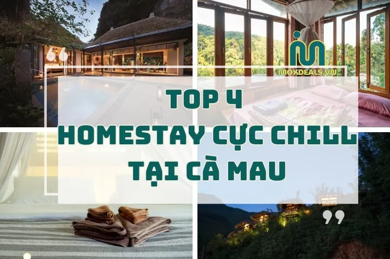 top 4 homestay cực chill tại cà mau