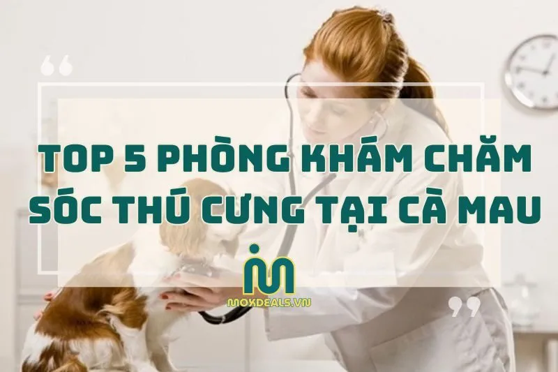 Top 5 phòng khám thú y Cà Mau chăm sóc thú cưng yêu