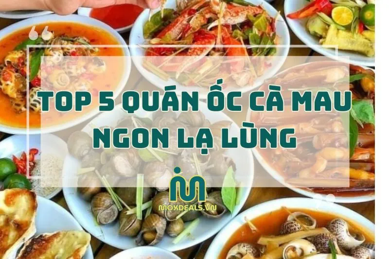 Top 5 Quán Ốc Ngon Cà Mau Nổi Tiếng Bạn Phải Thử Ngay 2024