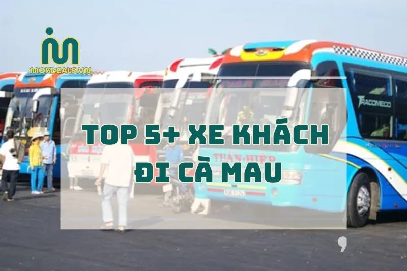 TOP 5+ xe khách đi Cà Mau