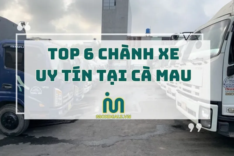 top 6 chành xe uy tín tại cà mau