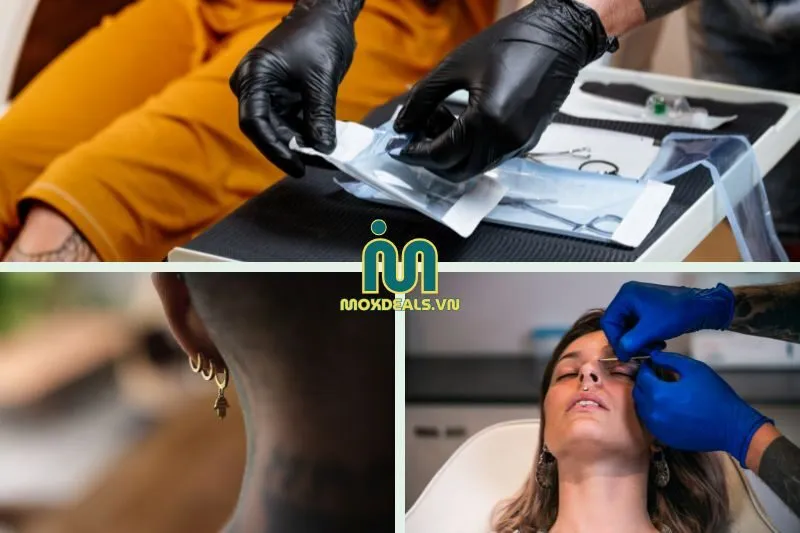 Khám phá các địa chỉ thú vị dưới đây
