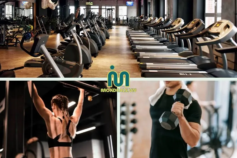 Lựa chọn 5 phòng gym lý tưởng cho sức khỏe của bạn