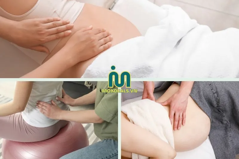 Tham khảo các trung tâm chất lượng dưới đây