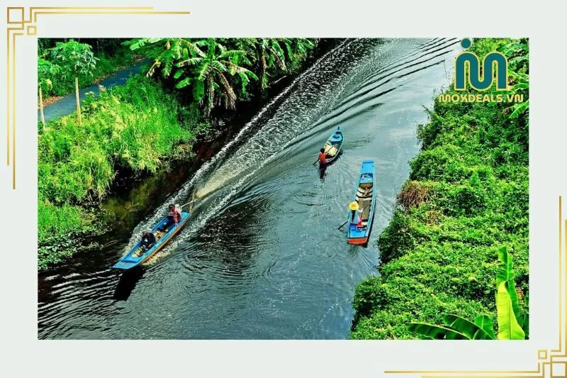 Các lưu ý khi tham quan rừng ngập mặn Cà Mau
