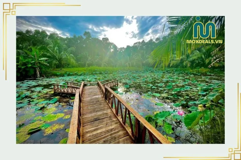 Giới thiệu tổng quan về Khu Du Lịch Sinh Thái Sông Trẹm Cà Mau