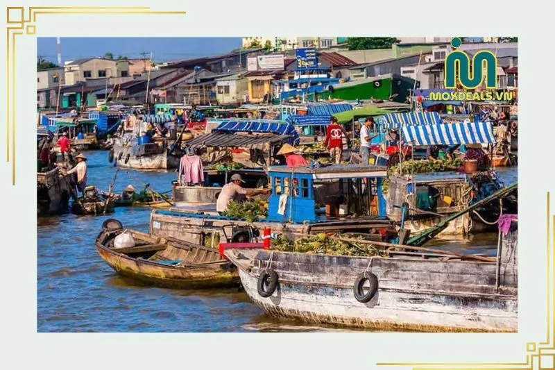 Giới thiệu về Chợ nổi Cà Mau - Đặc điểm nổi bật và giá trị văn hóa