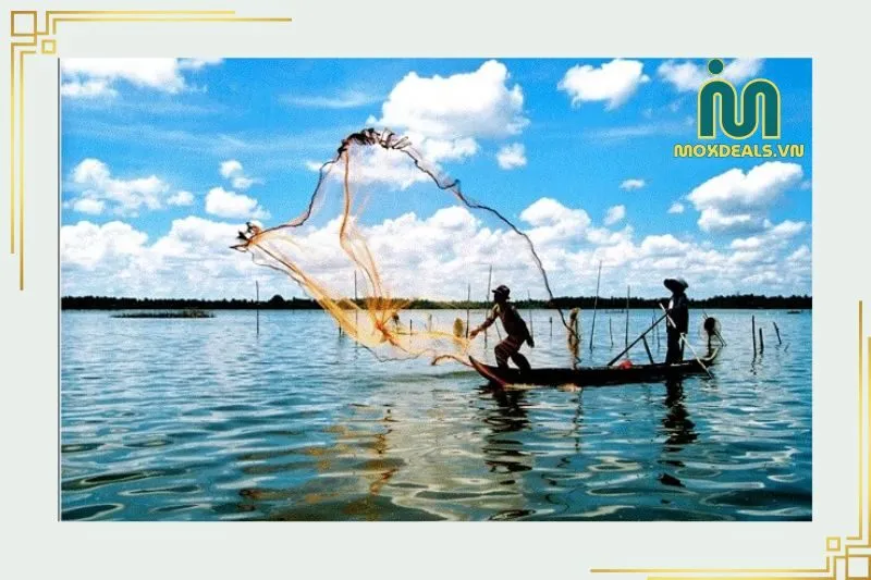 Giới thiệu về Đầm Thị Tường Cà Mau