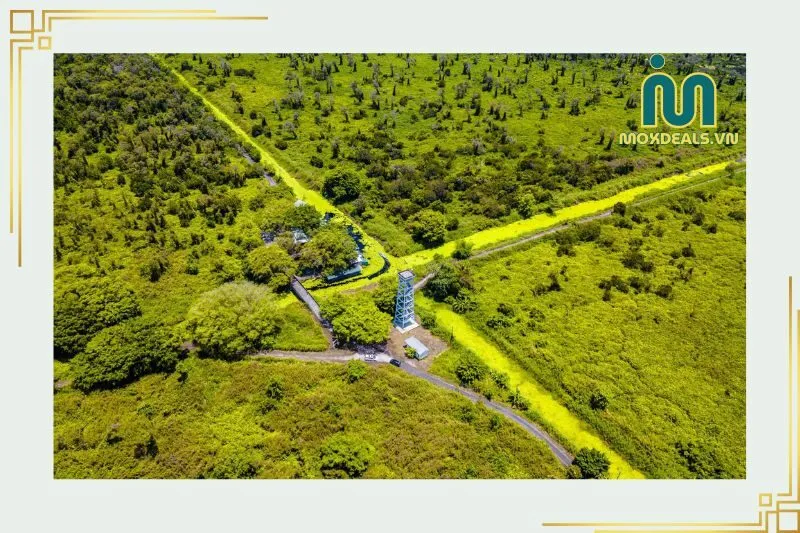 Giới thiệu về Rừng U Minh Hạ Cà Mau
