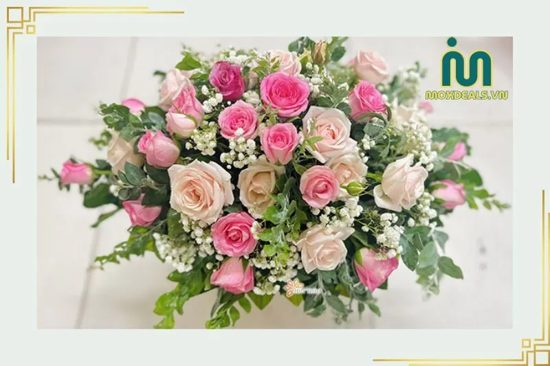 Hoa tươi Thảo Vy Cái Nước