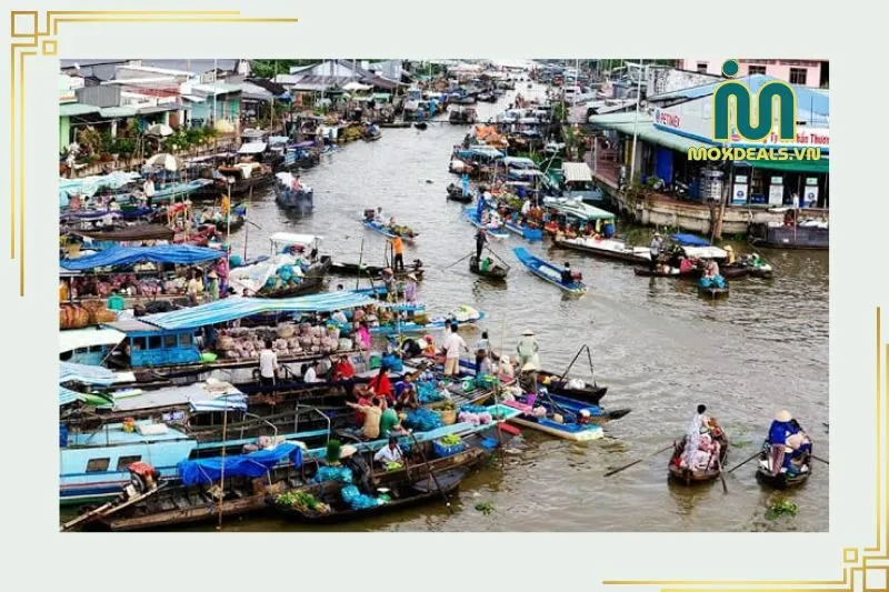 Những hoạt động đặc sắc tại Chợ nổi Cà Mau