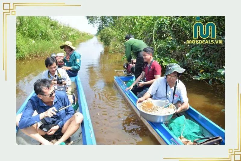 Những trải nghiệm không thể bỏ qua khi du lịch Rừng U Minh Hạ