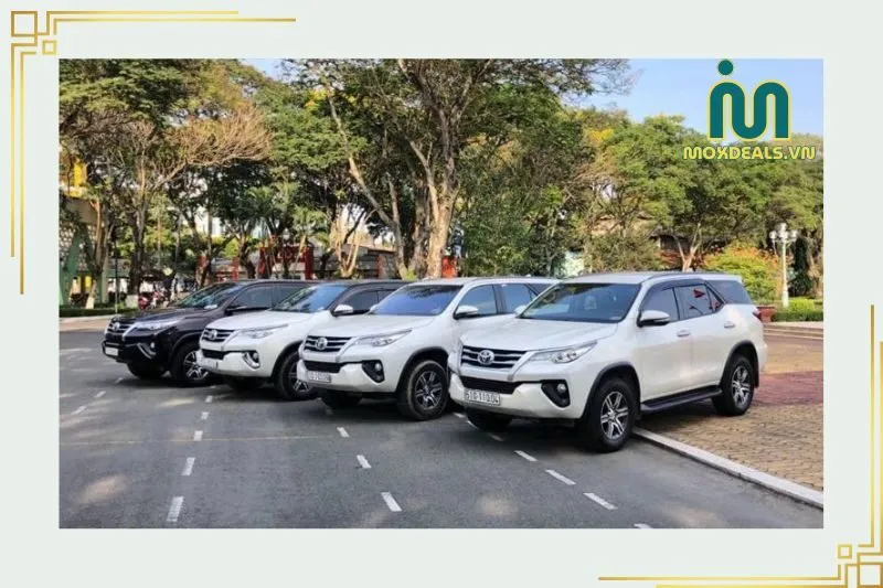Quốc Khởi Cà Mau